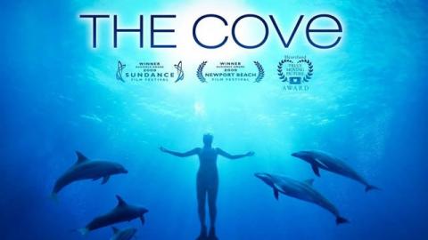 Oskar ödüllü ’’ The Cove ’’ = KOY