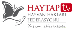 Haytap TV - Haytap Hayvan Hakları Federasyonu Televizyonu