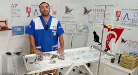 Haytap Yangın Kurtarma Çalışmaları