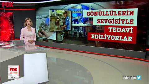 Hayvanlar Için Sahra Hastanesi  11 Ağustos 2021 FOX Ana Haber