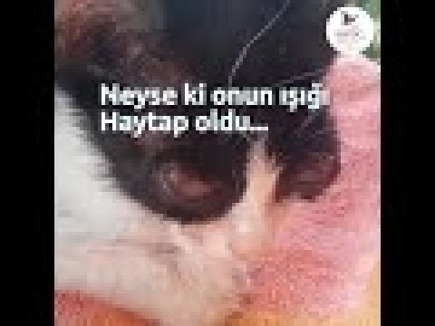 Karanlık bir dünyada yaşıyordu...