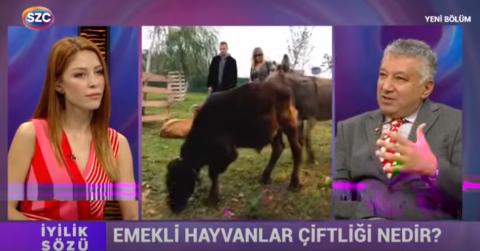 Haytap Yönetim Kurulu Başkanı Av. Ahmet Kemal Şenpolat Sözcü TV'de Elif Tümen'in konuğuydu.