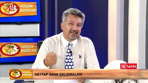 Sivil Toplum Örgütü Çalışması Nedir? Program Konuğu Dr. Damla Şahin , Haytap Yönetim Kurulu Üyesi