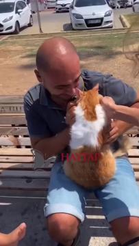 Depremde Haytap Çalışmaları