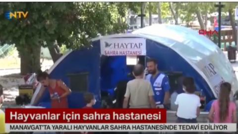 Haytap Sahra Hastanesi NTV Ana Haber Bülteni - 03.08.21