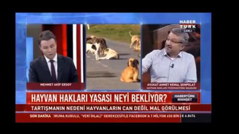 Hayvanlar insanlara saldırırsa sorumlu kim?