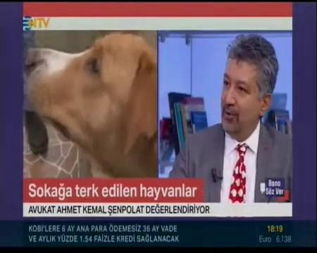 Hayvanseçerlik Nedir ?  ( NTV Yayın Tarihi : 2019 )