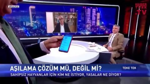 Ücretli sahiplendirme gerçek sahiplendirme midir ?