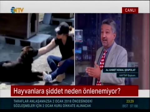 5199 sayılı hayvanları koruMa yasası neden değişmiyor?