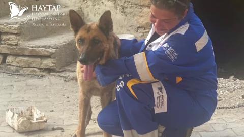 Haytap nedir? Herkes üye olabilir mi? Tüm STK'lar Haytap bünyesi içinde mi?