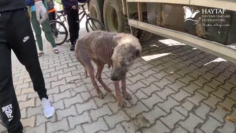 Haytap Deprem Bölgesi Kurtarma Çalışmalarımız