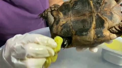 Peki ölmeyip yardıma muhtaç olanlar mı? İşte onlardan bir kaçı…