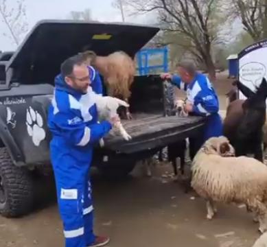 Haytap Osmaniye Emekli Hayvanlar Çiftliği