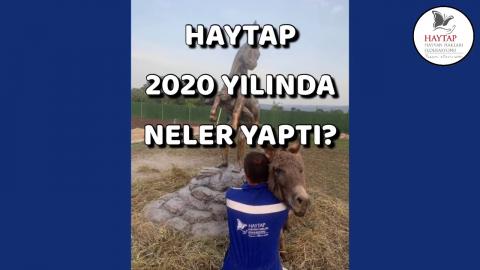 HAYTAP 2020'de ne yaptı ? (Özet)