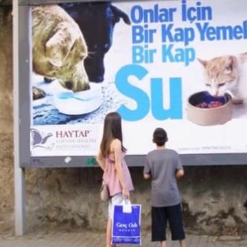 Bir kap su istiyorlar, çok şey değil...