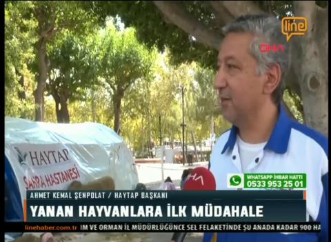 Elimizin uzandığı tüm canları kurtarmak tek hayalimiz./ 16.08.2021