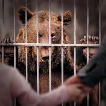 Hayvanat Hapishanelerine Değil İnsanlara Yatırım Yapın