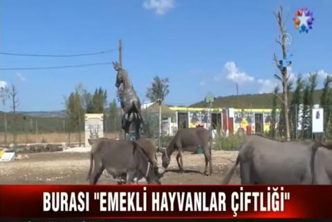 Haytap Emekli Hayvanlar Çiftliği (STAR TV 4 EKİM 2020)