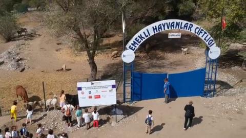 Osmaniye’de, ‘4 Ekim Hayvan Hakları Koruma Günü’ etkinlikleri