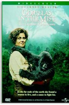 Gorillas In The Mist / Sisteki Goriller