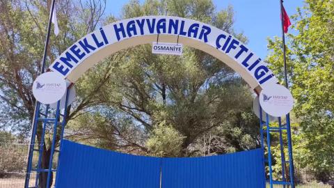 Haytap Osmaniye Emekli Hayvanlar Çiftliği