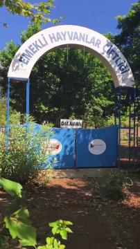 Haytap Dalaman Emekli Hayvanlar Çiftliği