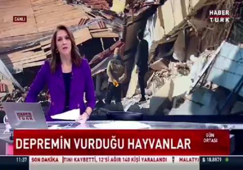 Depremden sadece insanlar değil hayvanlar da etkilendi.