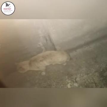 Adı Ömer, Zonguldak'ta şirin bir mahallenin sevgilisi