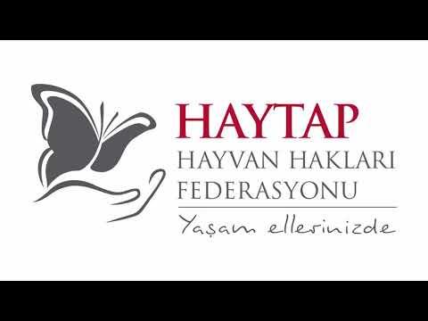 Haytap Radyo Yayınlarımız