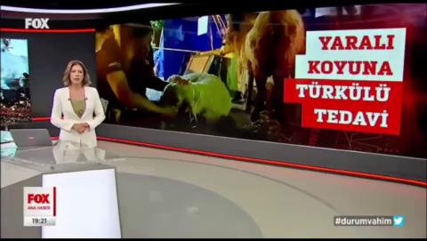 İYİ OLACAKSIN, BİZ SENİN YANINDAYIZ !