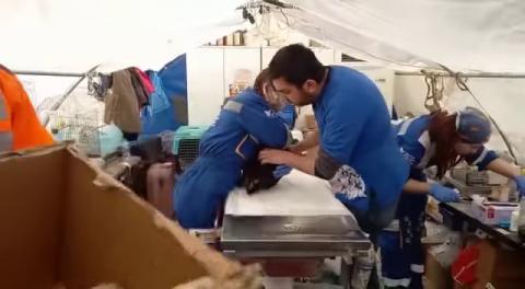 Hatay Depremi Haytap Sahra Çadırı