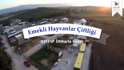 Haytap Emekli Hayvanlar Çiftliği -2020 Aralık ayı itibarıyla geldiğimiz aşama