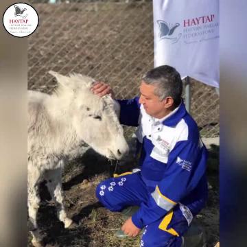 Haytap Bursa Emekli Hayvanlar Çiftliği