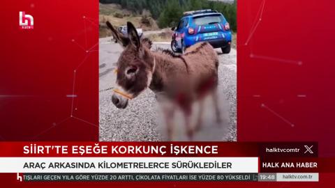 Eziyet gören Pembe eşeğin Haytap Emekli Hayvanlar Çiftliği Osmaniye görüntüleri basında