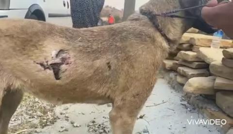 İyileşeceksin bebeğim artık yanındayız..