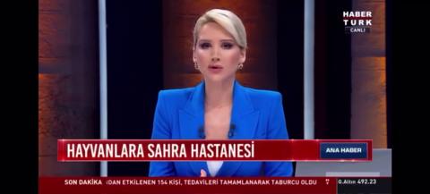 Haytap Yangın Kurtarma Çalışmaları