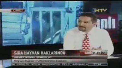Haytap 10 Yaşında