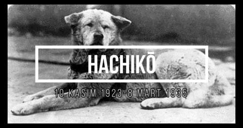 HACHIKO - Japonya’daki Gerçek Bir Sadakat Öyküsü