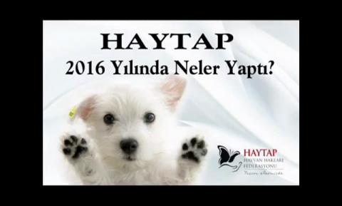 Haytap 2016'da Ne Yaptı?