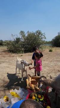 Biz burada çocuklara bilim, vicdan ve merhamet aşılıyoruz.