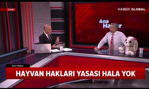 Cinayet bölgesi konuşur! Haber Global Tv - Nisan 2019