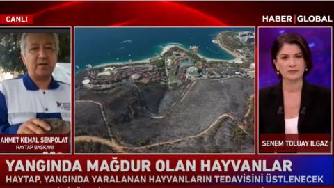 Haytap yangında zarar gören hayvanlar için Manavgat'ta sahra hastanesi kurdu..