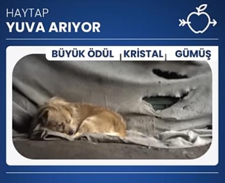 Farkındalık Çalışmalarımız