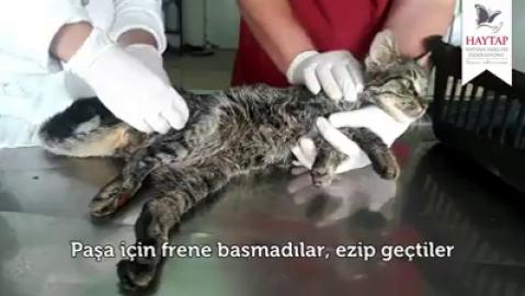 Paşa İçin de Frene Basmadılar! | Haytap Kurtarma Öyküleri