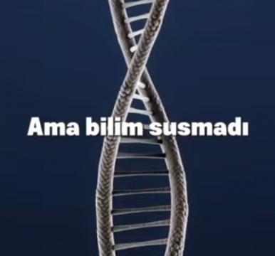 Vejetaryenlik / Veganlık