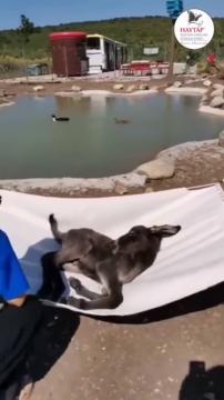 Burak Sıpa ve Huzur