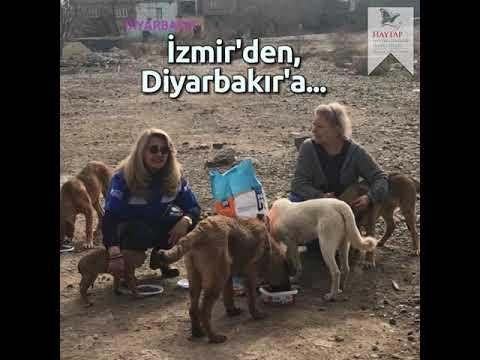 Haytap & Getir İş Birliği