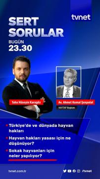 Haytap Başkanı, Haytap ve hayvan hakları ile ilgili sert soruları yanıtlıyor...