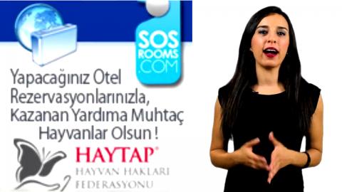 SOSRooms Tanıtım Filmi
