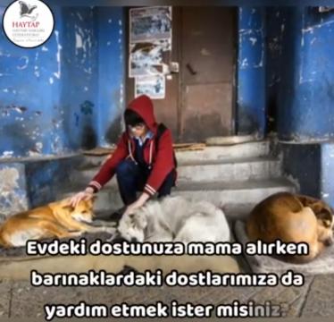 Dostluk Kumbarası ile onlara elini uzatır mısınız?